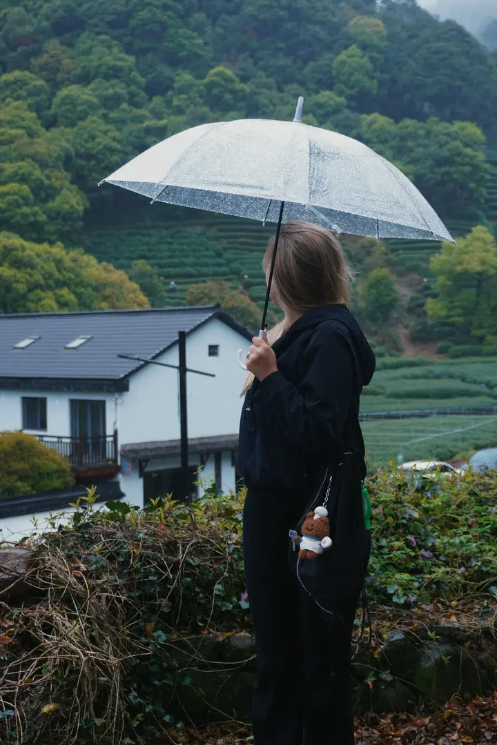 Tea Fields in the Rain — Hangzhou, China