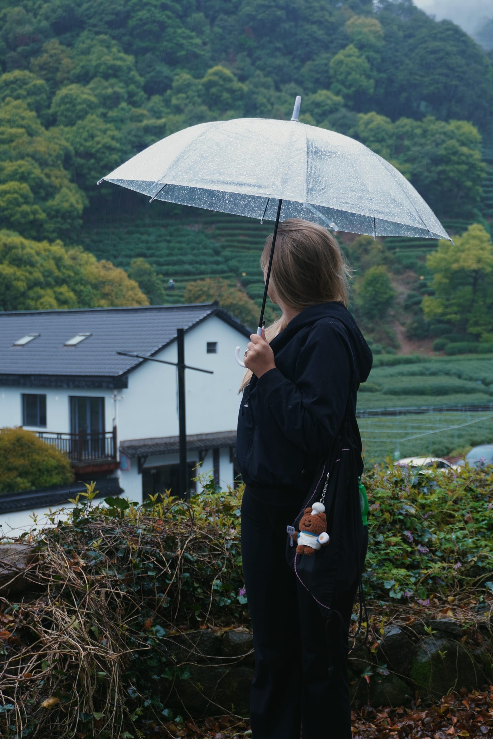 Tea Fields in the Rain — Hangzhou, China