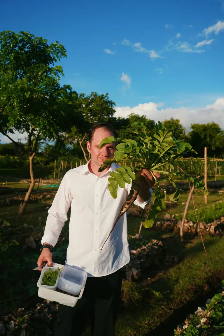 Harvesting in the Garden — Sumba, Indonesia