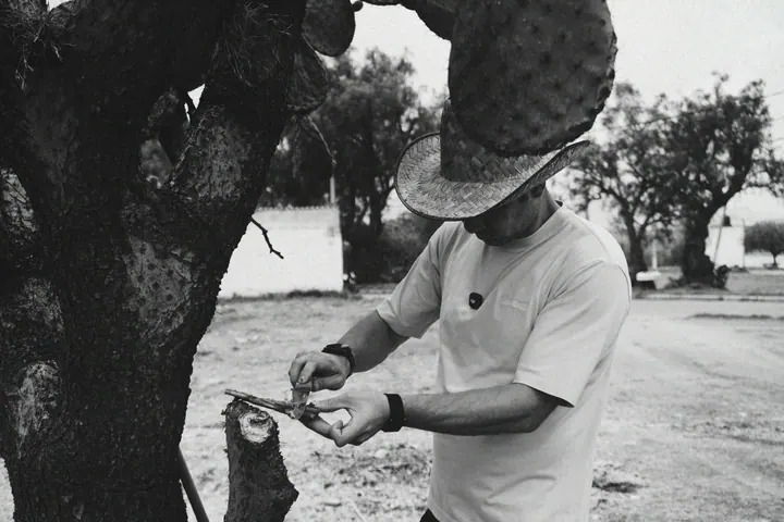 A man preparing a cactus pad outdoors in a black-and-white photograph