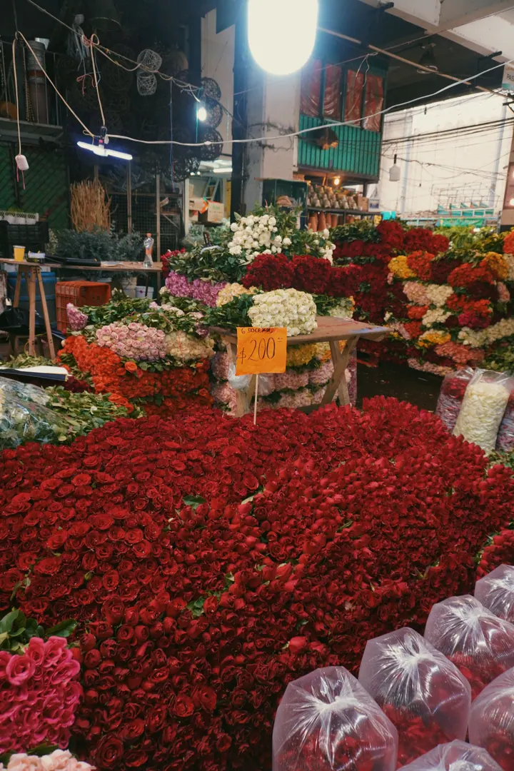 Stalls packed with red tomatoes and fresh produce in a Mexico City market