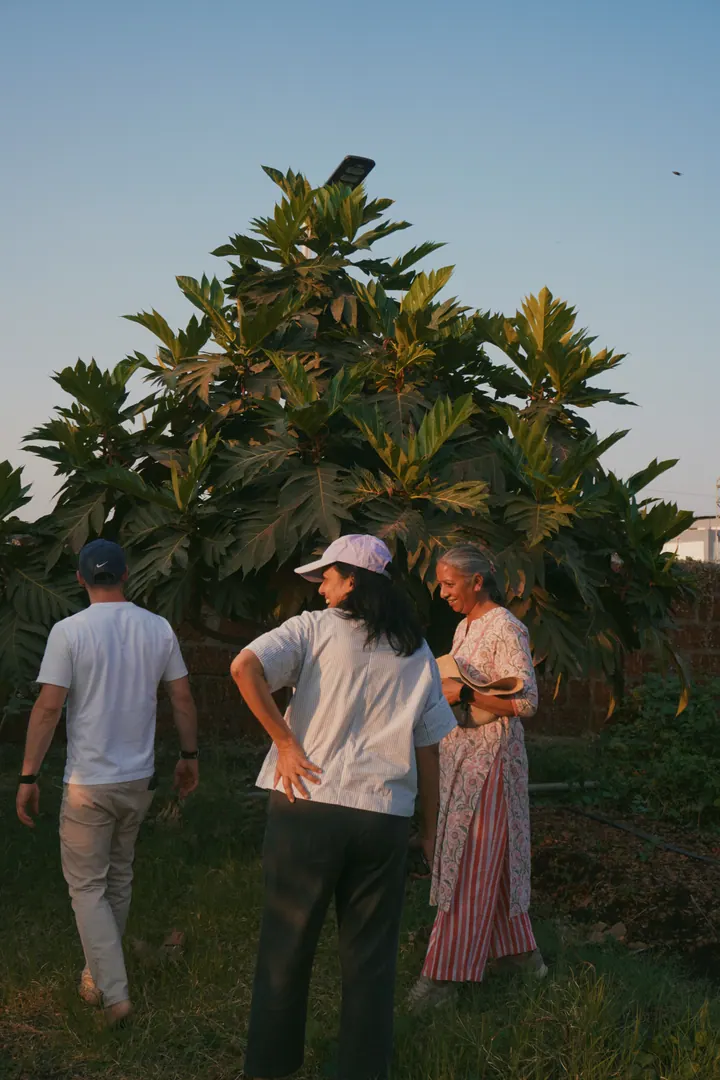 Three people walking beside a broad-leaved tree in a garden near Pune